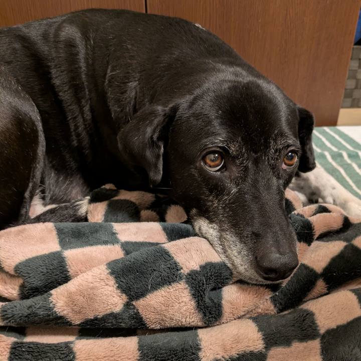 84dd6c98 1145 4251 bb6f 97d2193b21f1 1737196962453