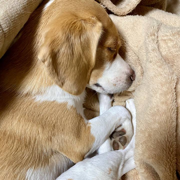 84dd7ca7 16f5 431a 8741 1869b25f4726 1586751684008