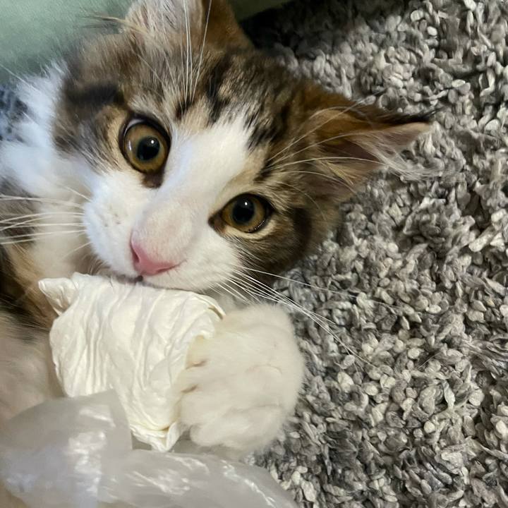 84dd8ee3 0949 45a1 ab84 9305c0de4e83 1633035432270