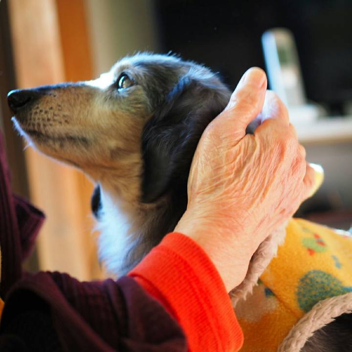 84dd9a29 34c2 4f08 9d40 ea9855dfc65f 1508802961790