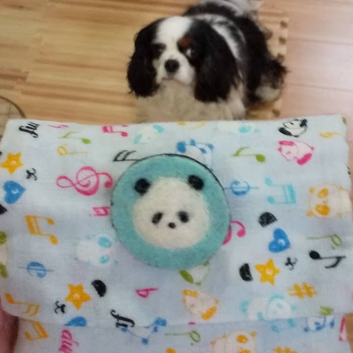 84ddbf55 3aa2 4b17 8e0a c364ffe34317 1584535575181