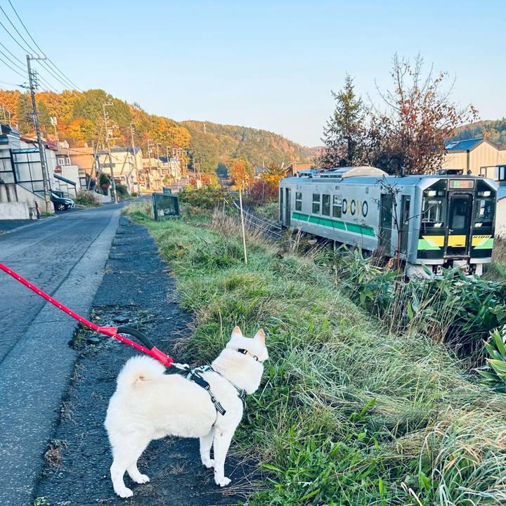 84ddca60 d92a 434b bba0 c3efefb7f451 1698184309345