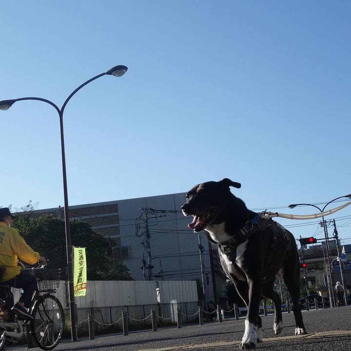 84ddffaf 7d20 455d 8f4c 2e5e2338bdcc 1664326218348