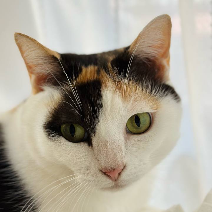 84de0711 8a21 4a6a 8da8 13069f64ae59 1666404990500