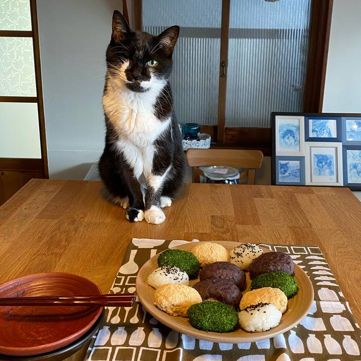 84de2a95 0211 415b 8943 b998e13b5c25 1726984524707