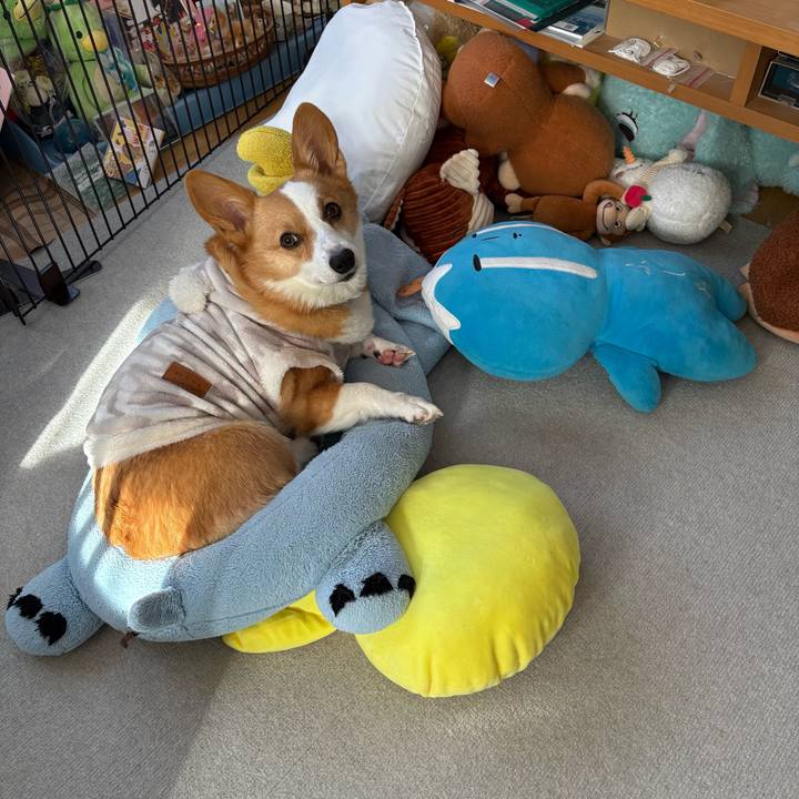 84de91d1 b155 4f65 80fc c54fb1b2173f 1768267318339