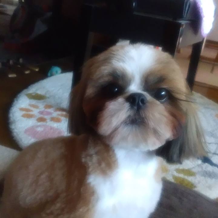 84dec9a4 6dbc 4525 a12e aa670bf27e62 1588058067964