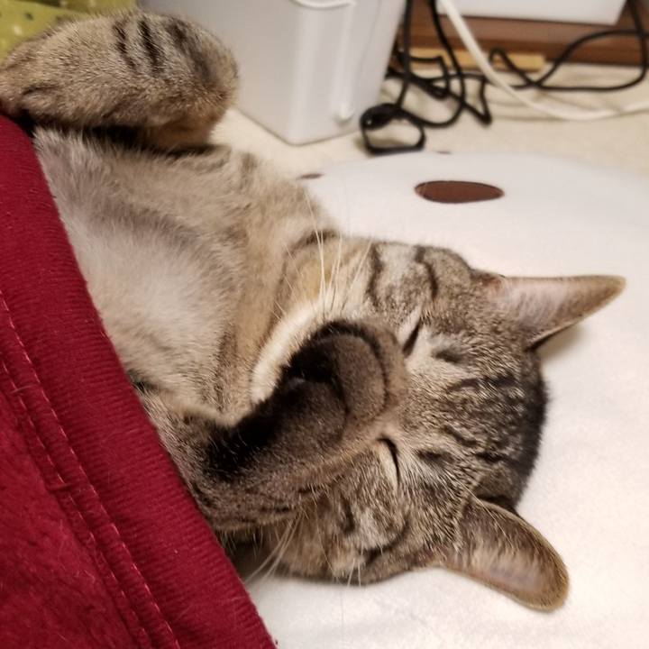 84decba2 0f4e 44e3 a794 6820a95197de 1691418716622