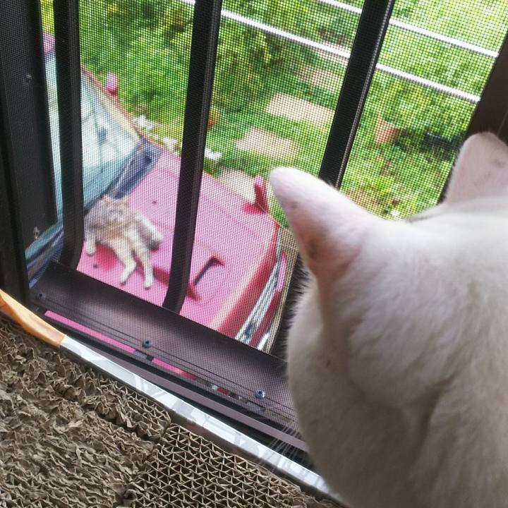 84deeda7 d8c0 421f b1d1 6a5b4fa8668d 1537352715966