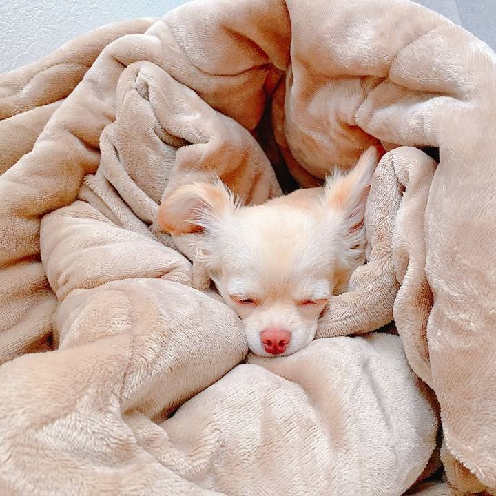 84def784 459a 4f4a ae5e b5abb5bded7d 1620444547357