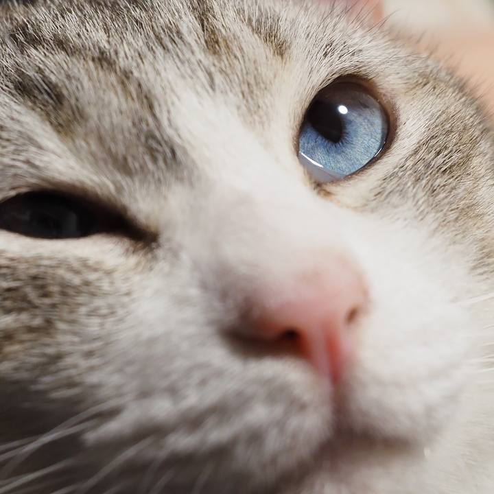 84df2074 53de 4234 9afa 4da2255c5665 1606542317455