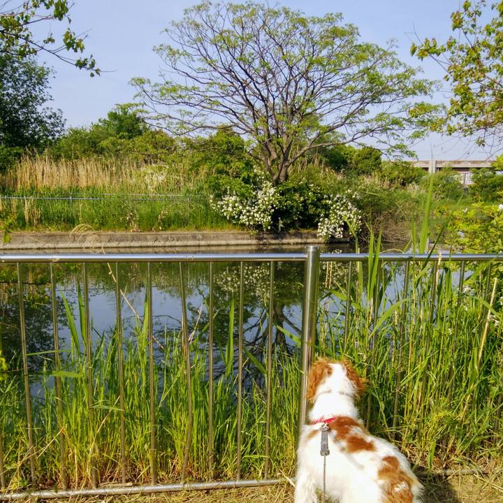 84df8f4d 8f10 4449 9303 e64ac12562f1 1557451128206