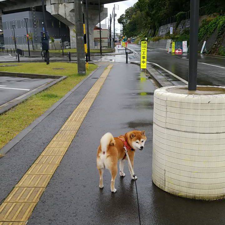 84dfcc8d a651 4194 a29d 59e2c5478251 1540019633993