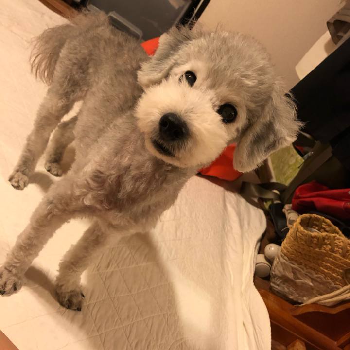 84dfd6df 0dbb 40fa b4b7 d516750e65ee 1565305926219