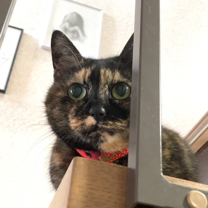 84dfe7b4 9f01 4b64 83f9 8b0933b2ba5e 1558167793241