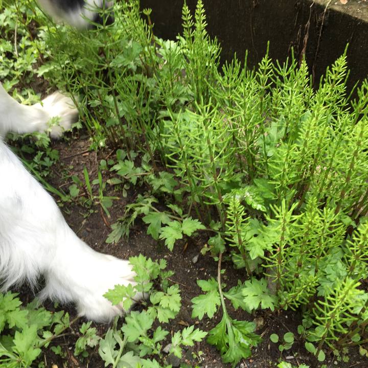 84dfed15 0ad2 49c0 972f 23939593f580 1552957035068