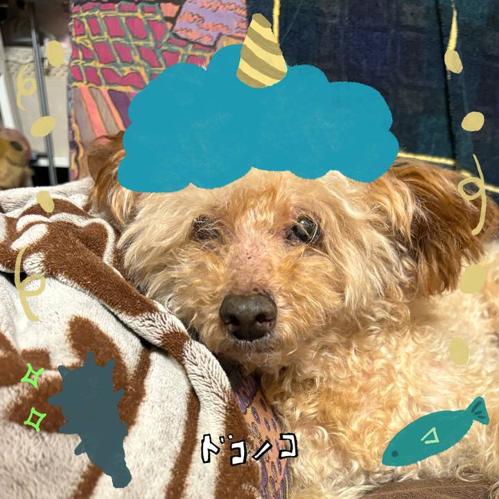 84e012ae 442d 4c33 ad9e 487bac4cc25d 1706758966990