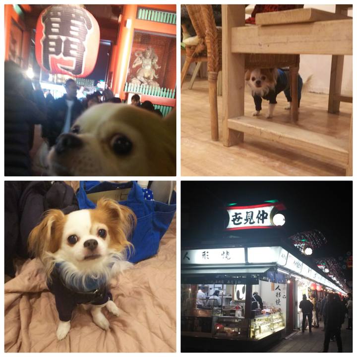 84e014a9 5009 47f8 929a 050ee0bf9bb5 1547287427589