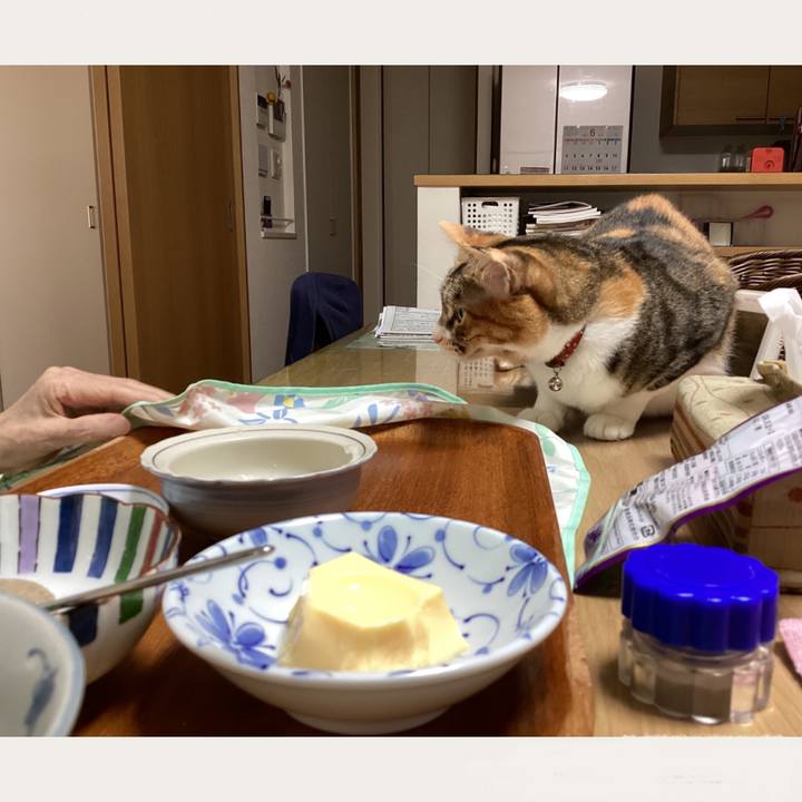 84e04a77 96d3 4450 bdb6 70de62e9ad05 1687831069167