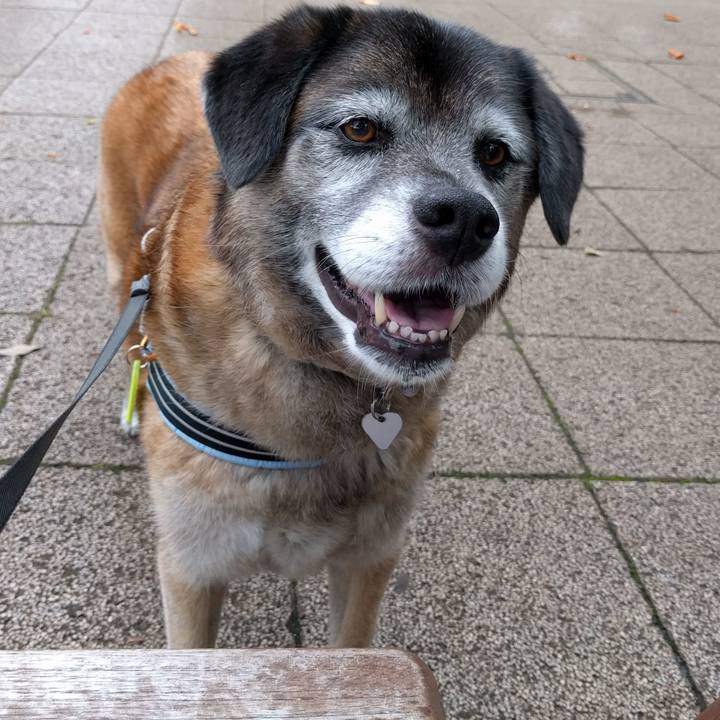 84e09802 5e03 4a31 a1a8 96ca06cb9dde 1528972047287