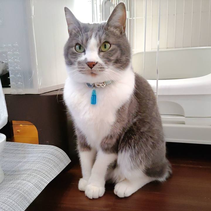 84e0ab22 2aaa 463d 8ef7 0ecac331c523 1673068854428