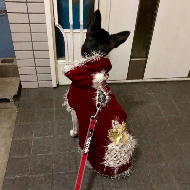 84e0bcb1 6c34 4173 8c1a 1a05fb301d76 1545740720427