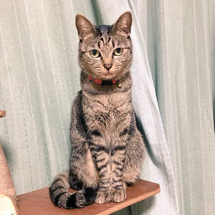 84e0e22f 7456 4154 836c 41896368518a 1540177852009