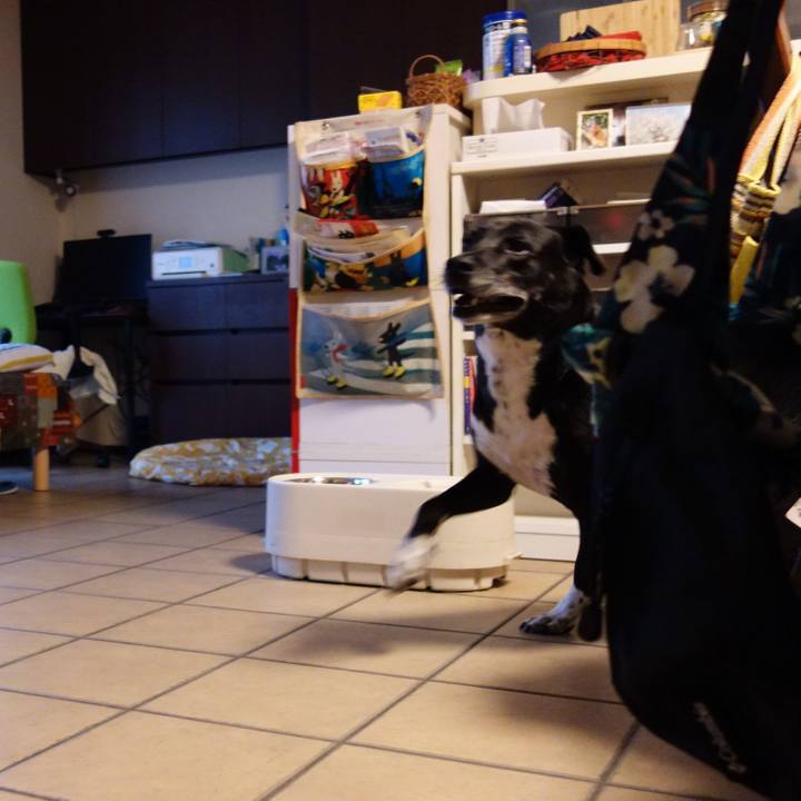 84e0f847 02c6 4854 8046 cfa0d4933ba6 1729380804385