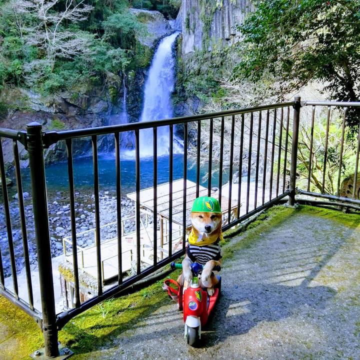 84e0fad7 5865 48dc 9b30 170644c0f8b9 1581164993826