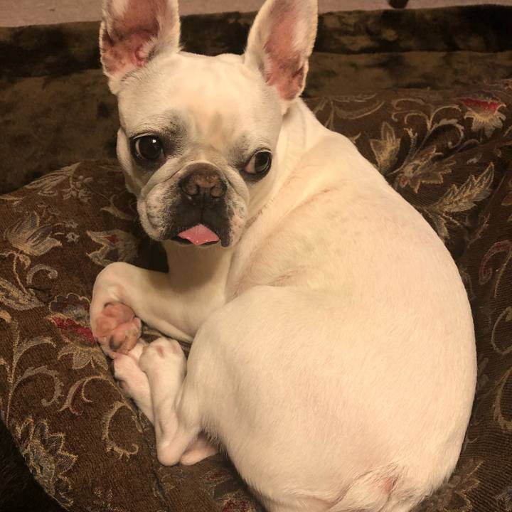 84e1009d 8996 48e1 828e bed054d0ca0b 1578748355153