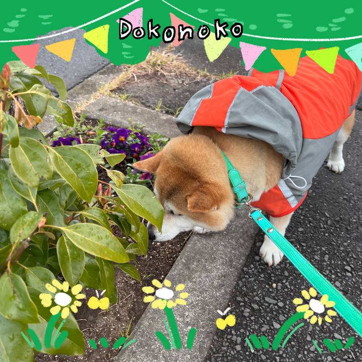 84e109d2 0d7c 44aa 84be b5ab12872fe7 1711195154273