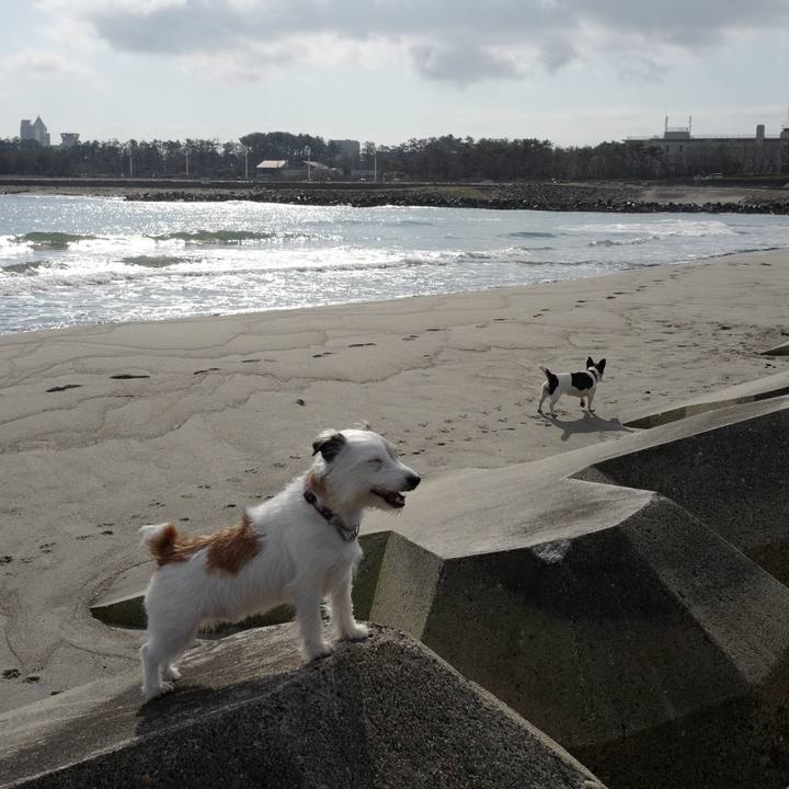 84e13a76 c2ac 436e 9545 c527a6135bd3 1555386199489