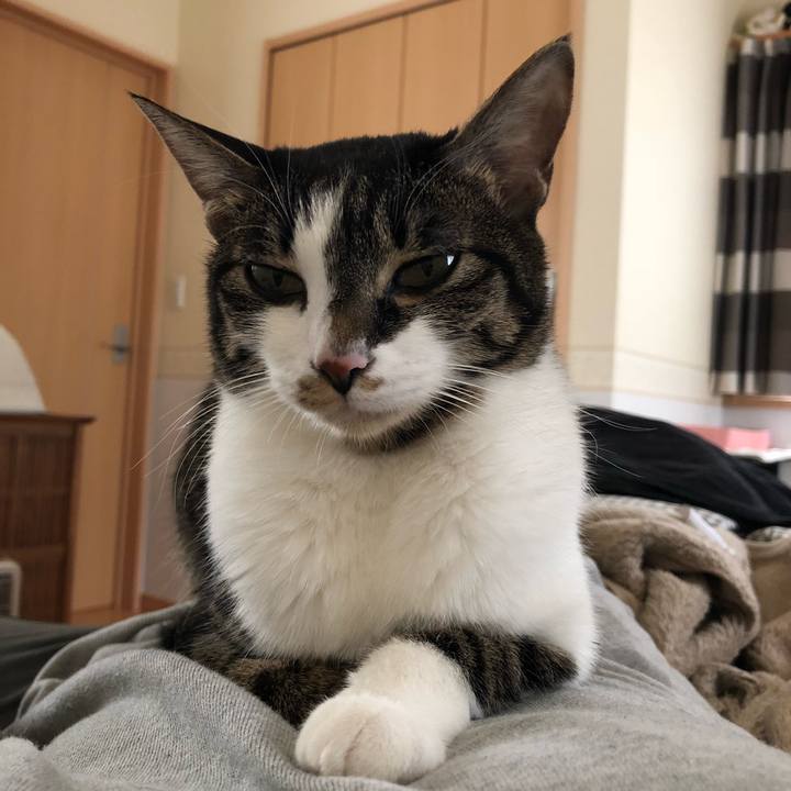 84e14bda 4f5e 4f37 bb14 461e06bf51f6 1517634294998