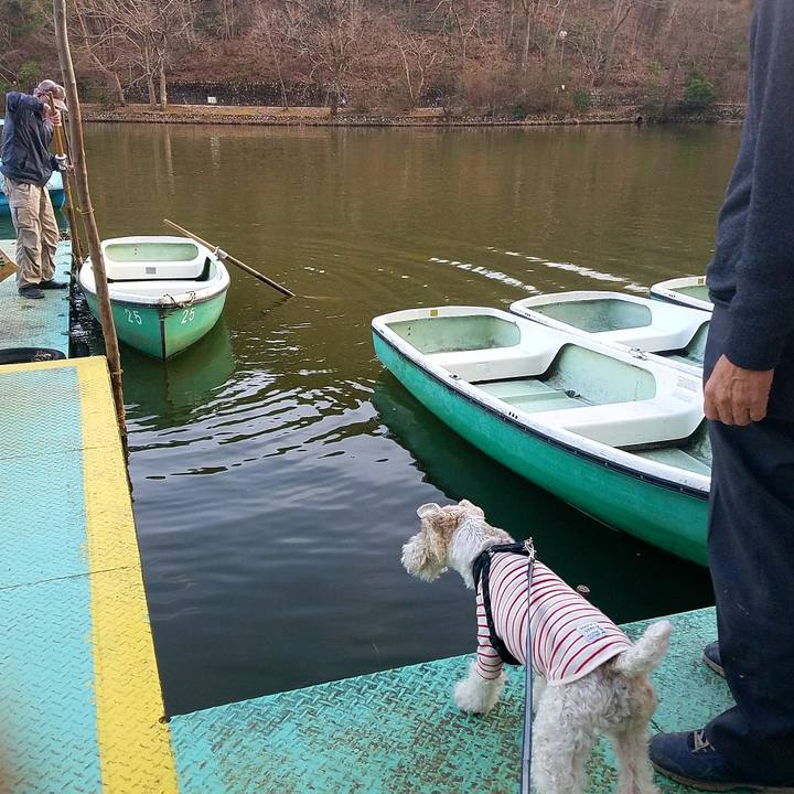 84e1594a d15f 46ab 820a efb6abb1d05e 1520151472093