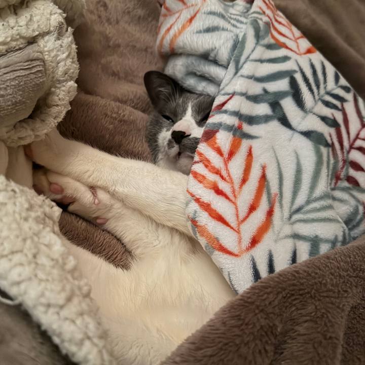 84e17325 fa1b 420b 912d bbba4c2cb6ab 1769730347064