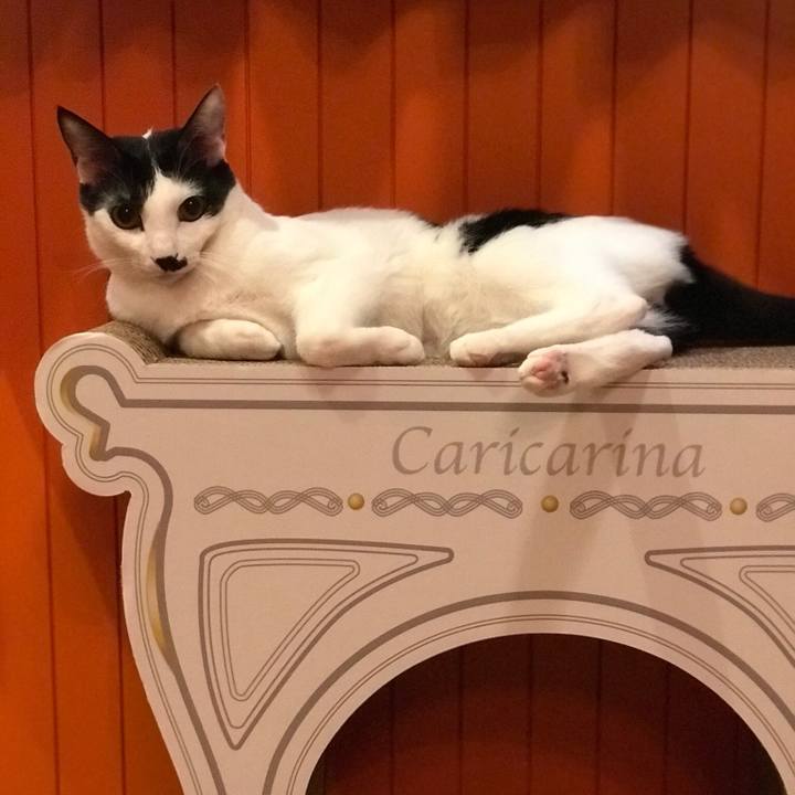 84e17f02 e1a7 470e 9aaa e297594b7e31 1512084369111