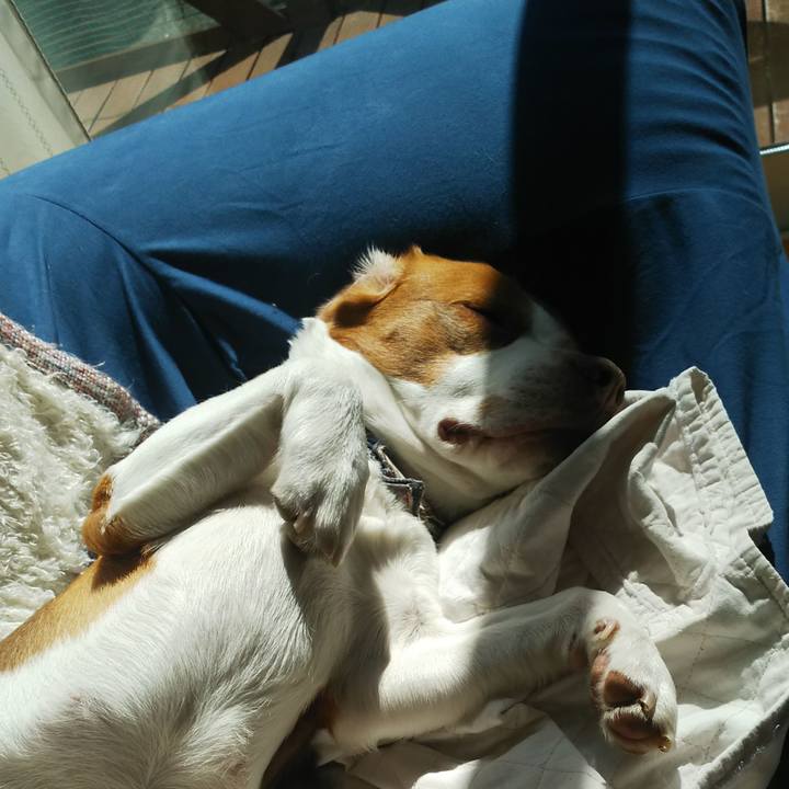 84e18879 4c58 47ca b3df 34659f09059a 1583204256556