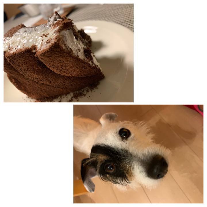 84e1d790 ce07 4bdb a48a d060a1fa6dff 1616152745430