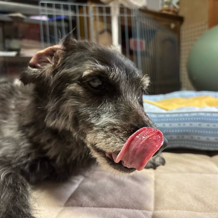 84e1e401 b4cb 47da 96d5 fff378a31b6e 1758669055900