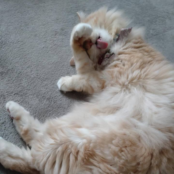 84e2b651 9797 4b82 9836 04cbf0fd357e 1757379642684