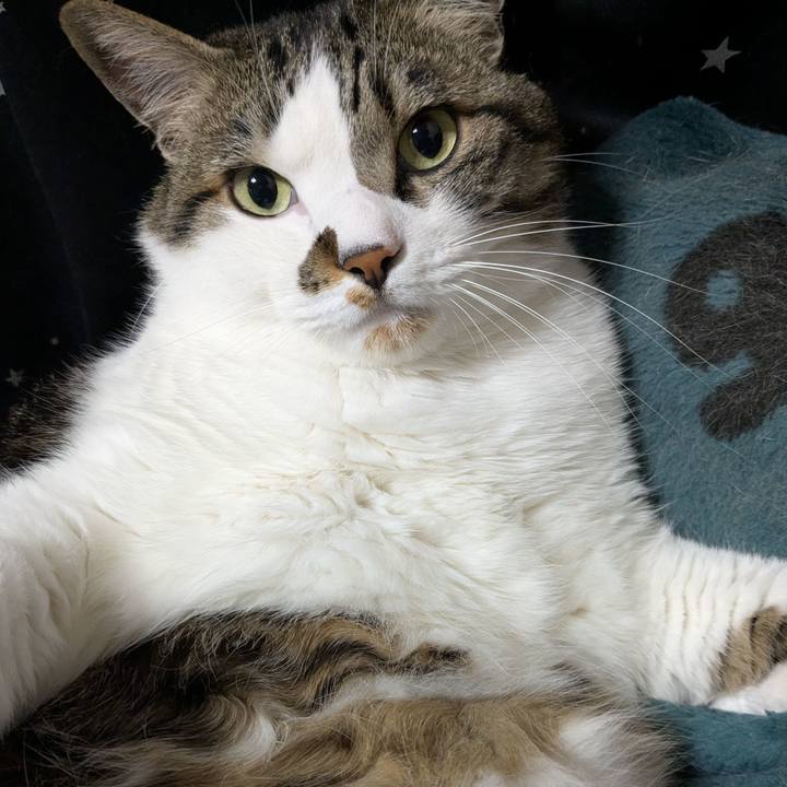 84e2ff14 6c7e 49e3 9ef5 94861fb050e2 1746229650751