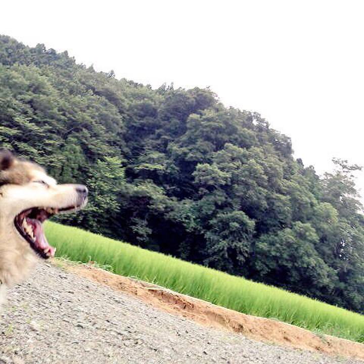 84e31be5 71f3 4df4 a0c5 80709eb9587e 1548038112057