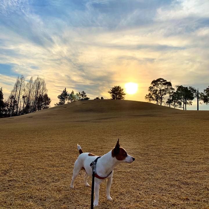 84e335cc 350a 43b3 9d53 17f520fbd5cf 1551087316377