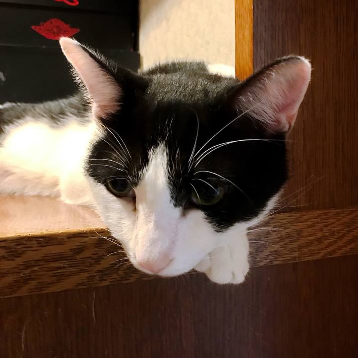 84e3a539 ea31 4efd 9a8b fe1e0b0af2f0 1507864979607