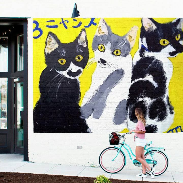 84e3c05b d056 43a9 8df7 6d7d9a09f030 1523093433597