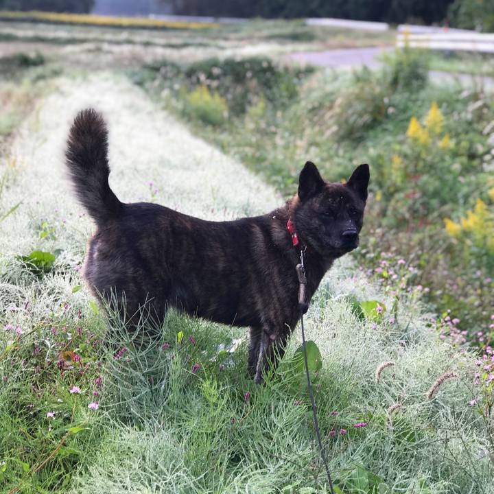 84e3c137 5ab6 4335 b047 ce821d8d7dc1 1539647722568