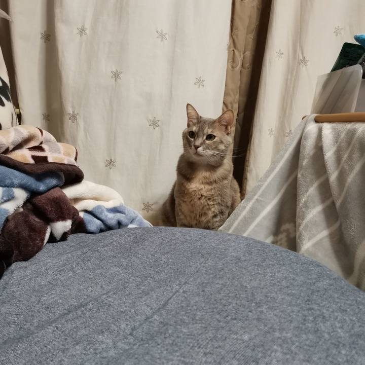 84e3ff60 577e 4cff 9b5c deb577c0287f 1612105743719