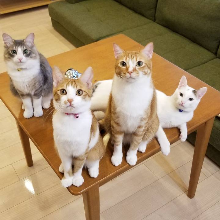 84e43473 ea43 4a9d a86d ec3ee3c1fbd0 1515375724125