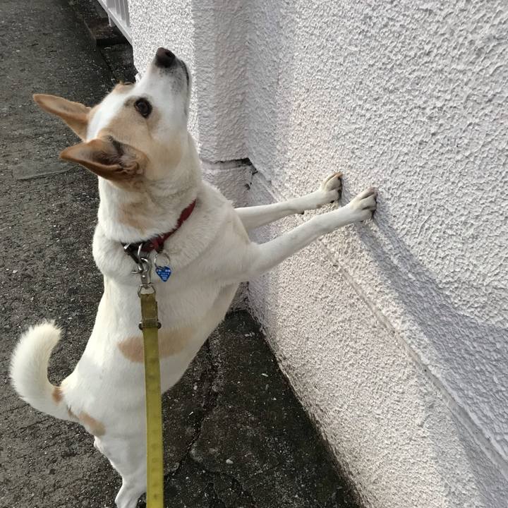 84e448cd ceeb 451e a41c 19bb3b72e718 1636859009577