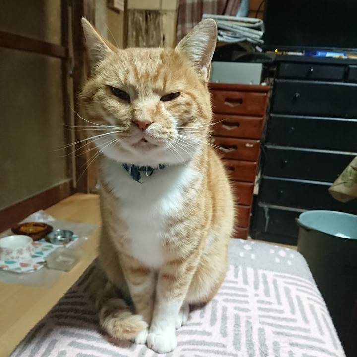 84e50216 60b7 42ea ba0e 9a965f9e79d0 1607629866430